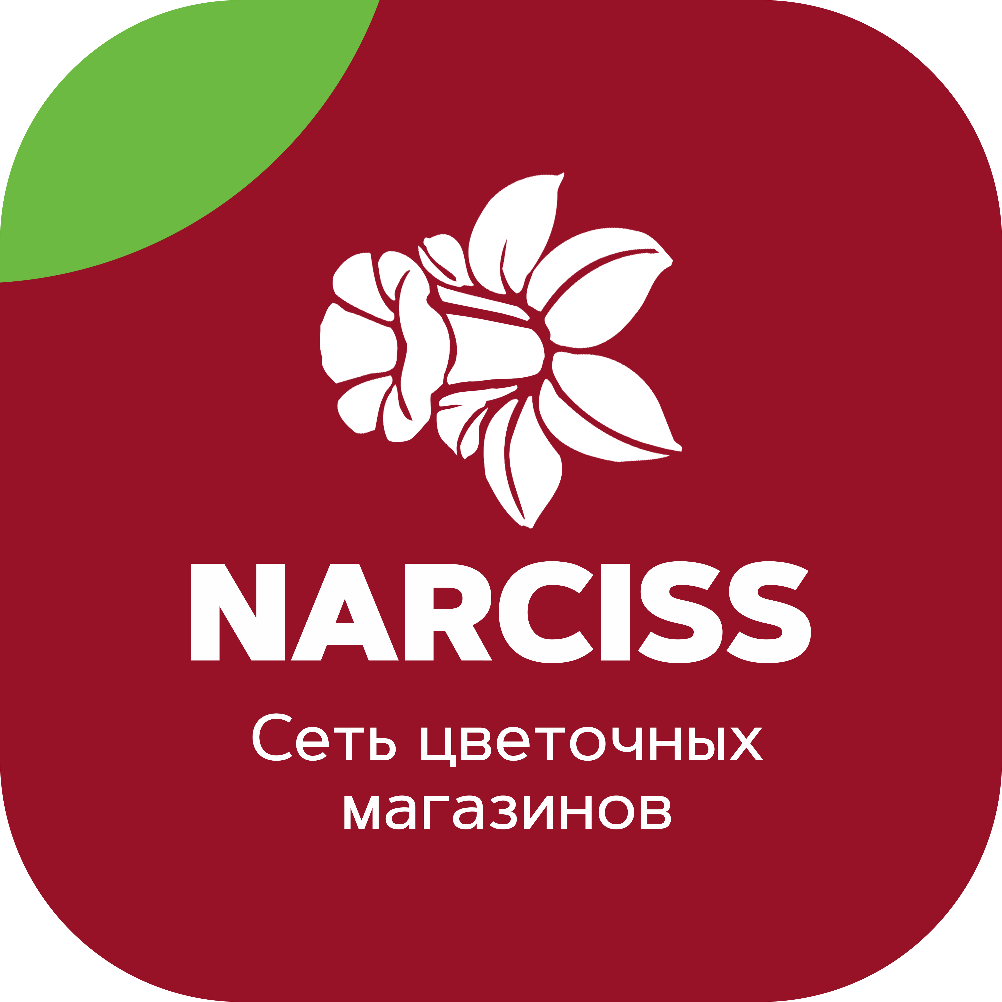Нарцисс магазин цветов